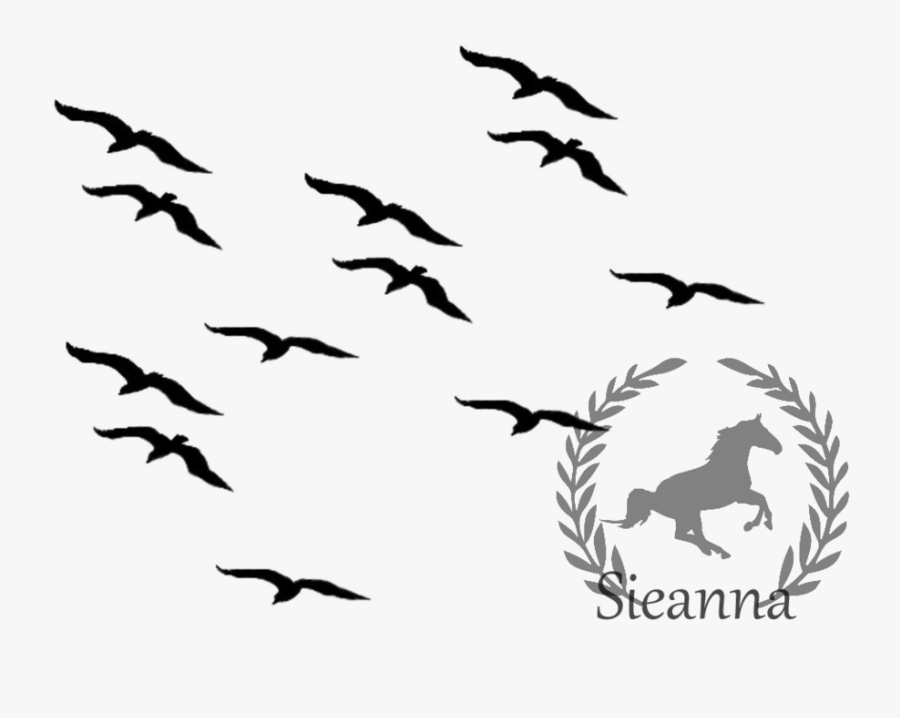 Silhouette Bird Flying 2 Clipart - Flying Birds Clipart Black And White, Transparent Clipart