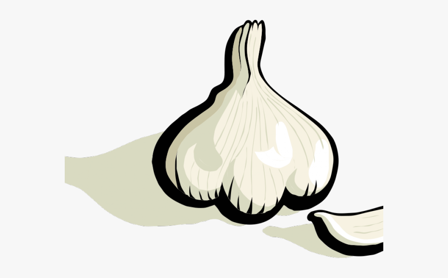 Clipart Garlic, Transparent Clipart