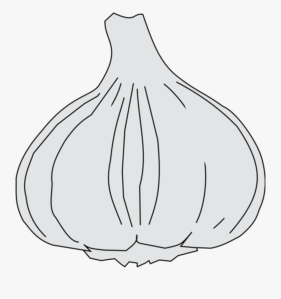 Transparent Ajo Png - Elephant Garlic, Transparent Clipart
