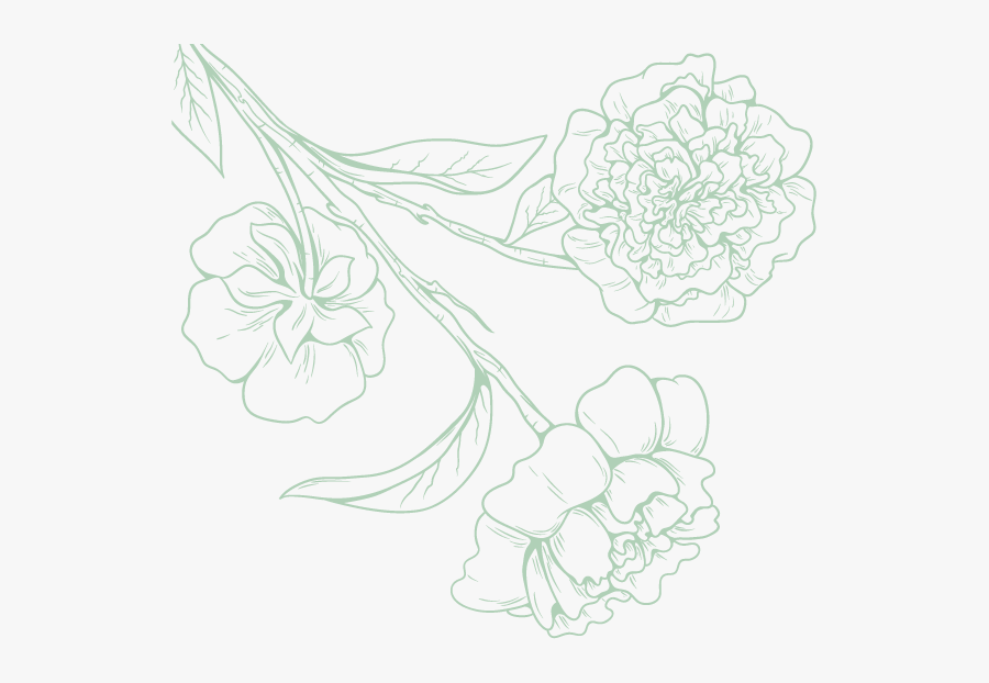 Flower Black And White Ink Drawings, Transparent Clipart