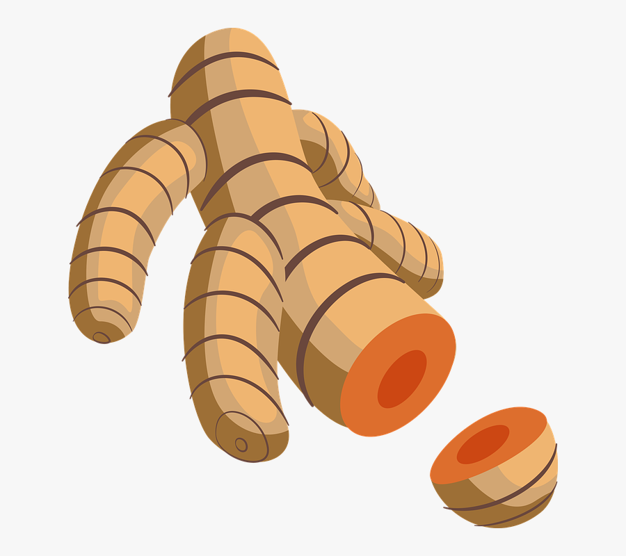 Kunyit Vector, Transparent Clipart