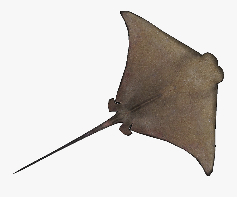 Transparent Rays Png - Cownose Ray Clipart, Transparent Clipart