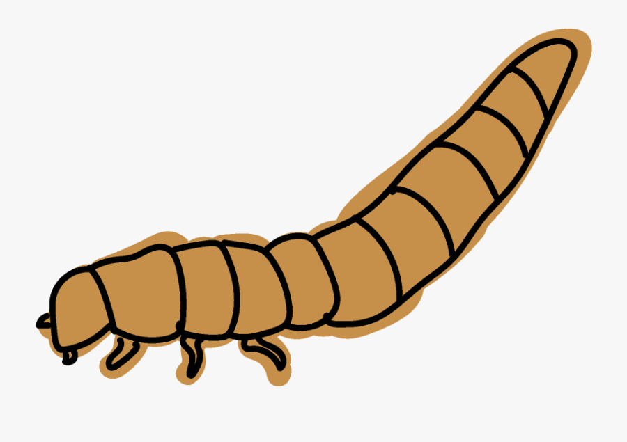 Mealworm Clipart, Transparent Clipart