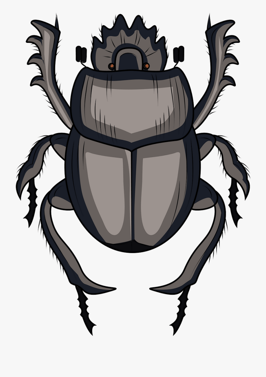 Scarabaeus Cartoon, Transparent Clipart