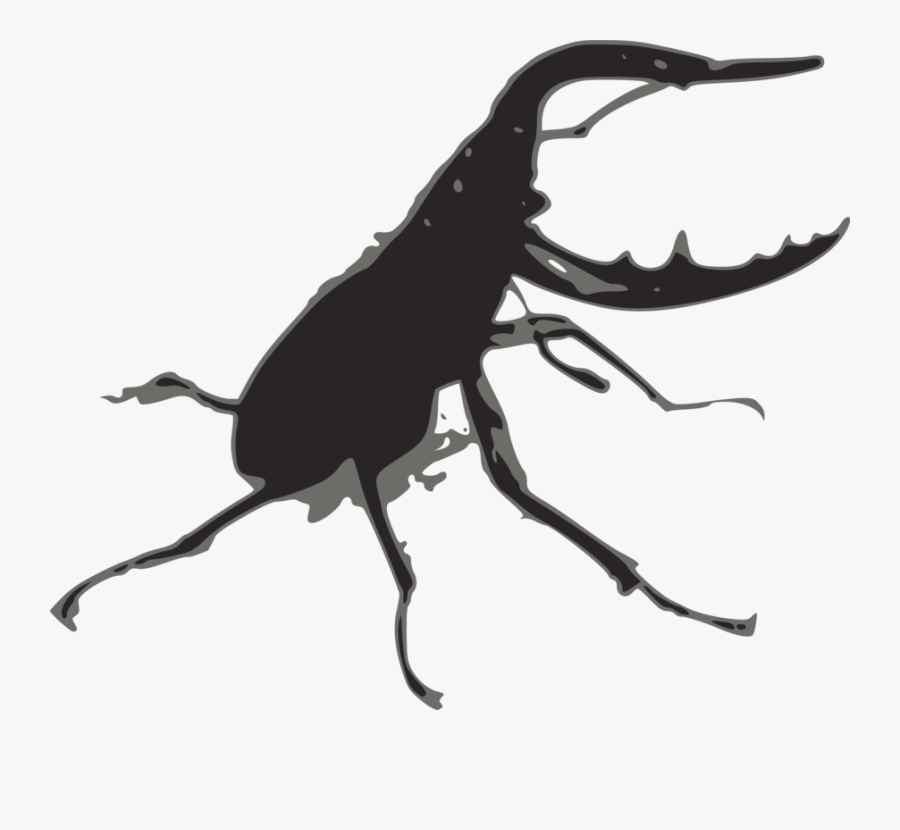 Fly,silhouette,beetle, Transparent Clipart