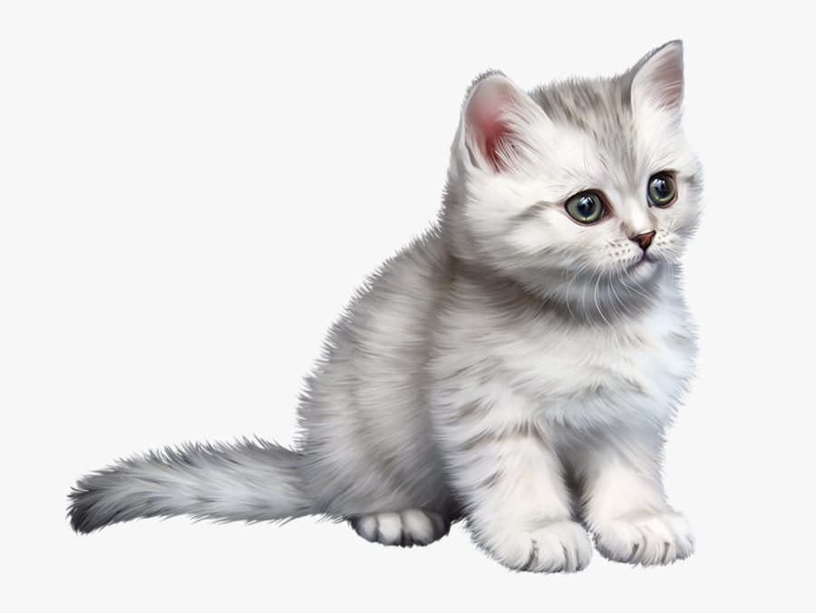 Cute Kitten Clipart, Transparent Clipart