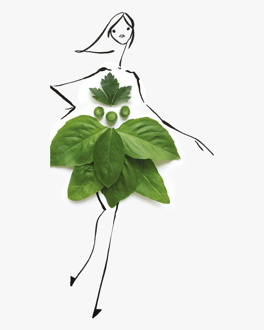 Transparent Girl Stick Figure Png - Canoe Birch, Transparent Clipart