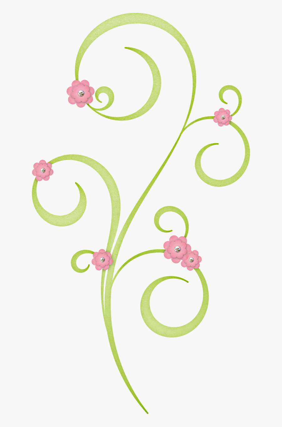 Circle, Transparent Clipart