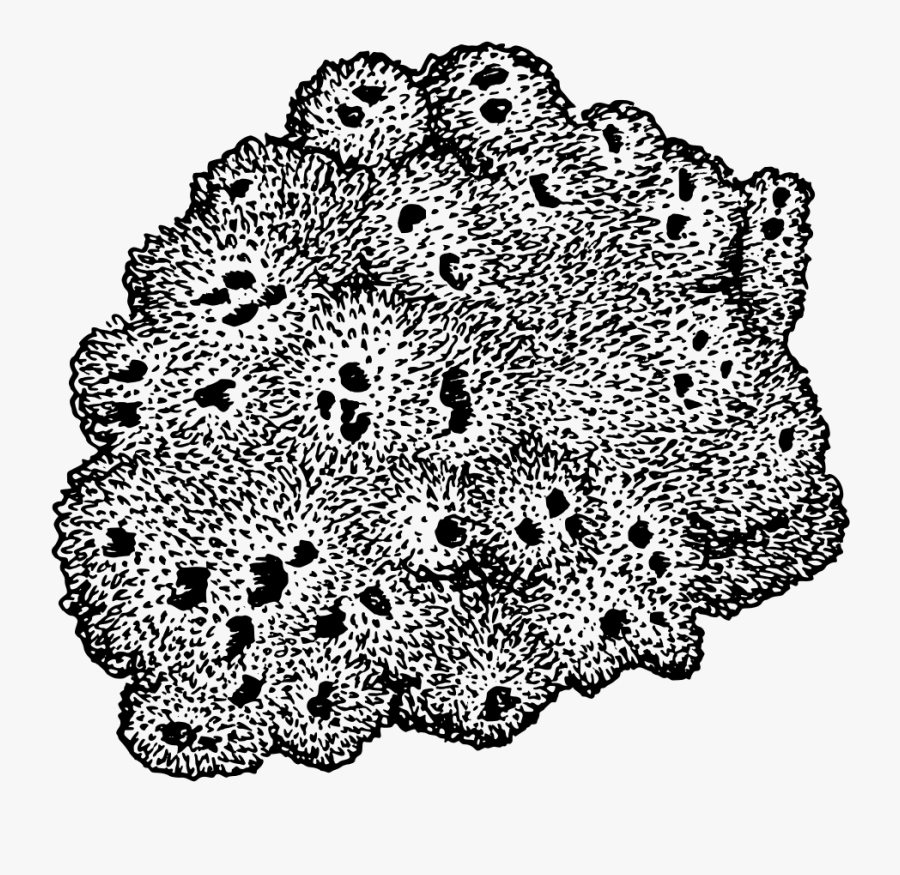 Housing Icon, Transparent Clipart