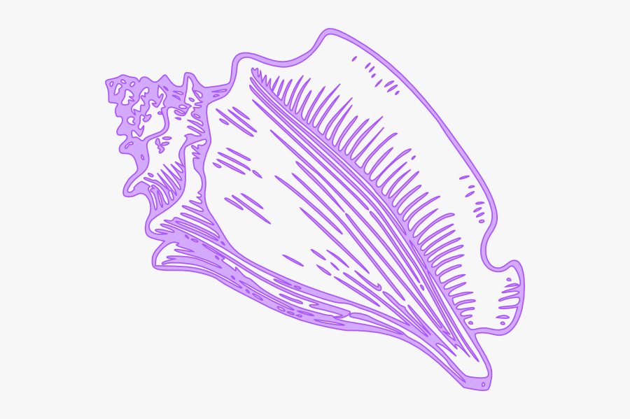 Clipart Sea Shell Transparent, Transparent Clipart
