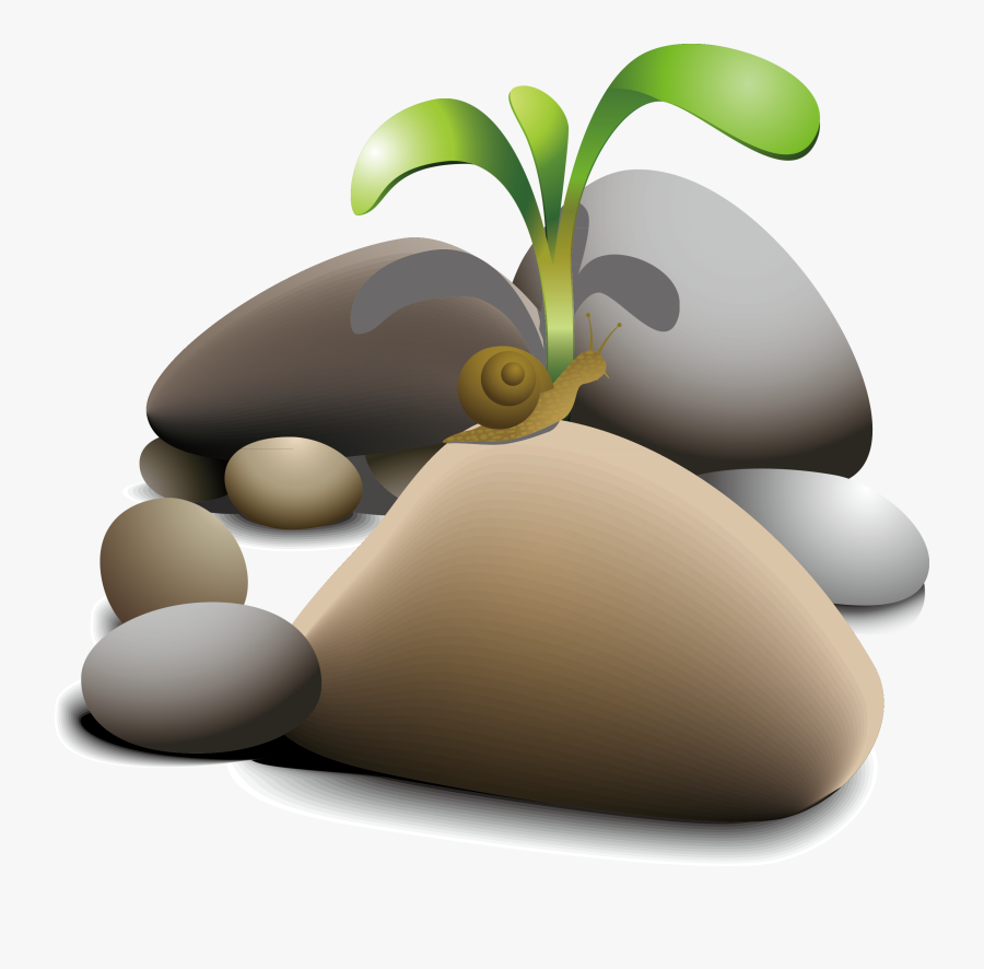 Pebble Clip Art Snail - Planta En Piedras, Transparent Clipart