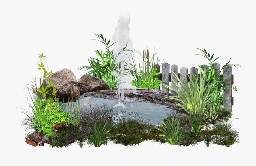 Garden Pond Png, Transparent Clipart