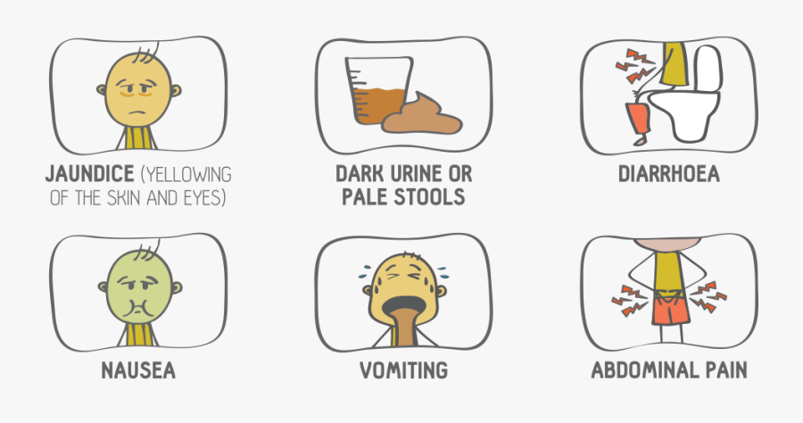 Hepatitis A And Its Symptoms - Cartoon, Transparent Clipart