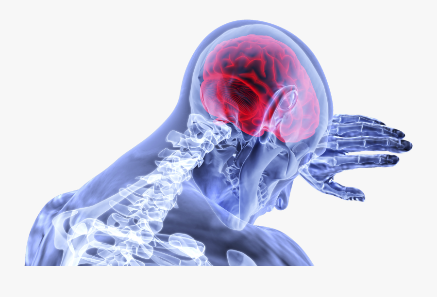 Brain Pain, Transparent Clipart