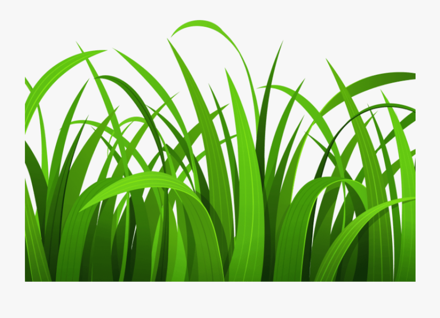 Best Grass Clipart - Grass Clipart Transparent Background, Transparent Clipart