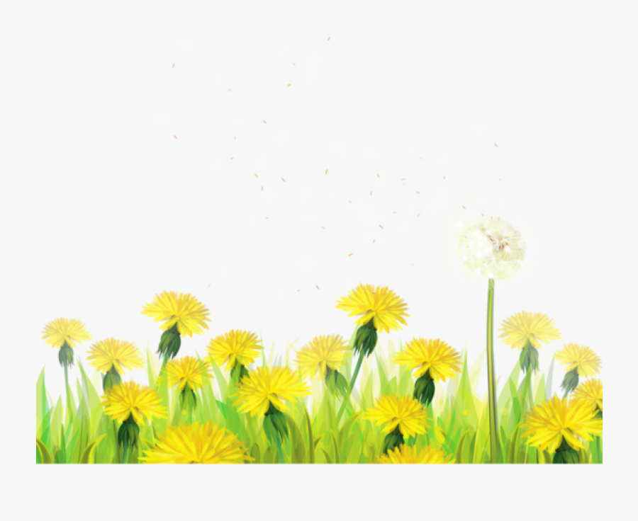 Free Png Transparent Grass With Dandelions Png Images - Field Of Dandelions Clipart, Transparent Clipart