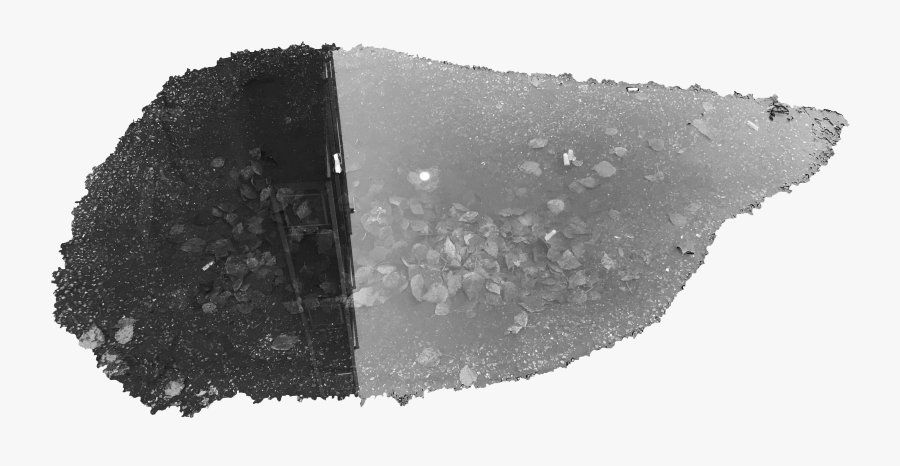 Monochrome, Transparent Clipart