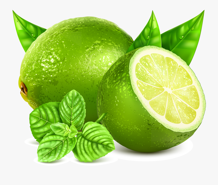 Lemon Vector Illustration Stock, Transparent Clipart