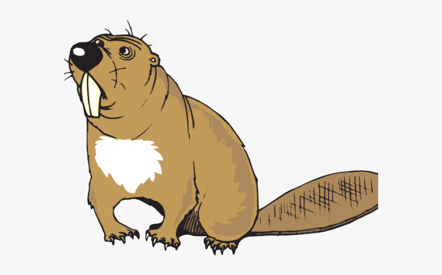 Beavers With Big Teeth, Transparent Clipart