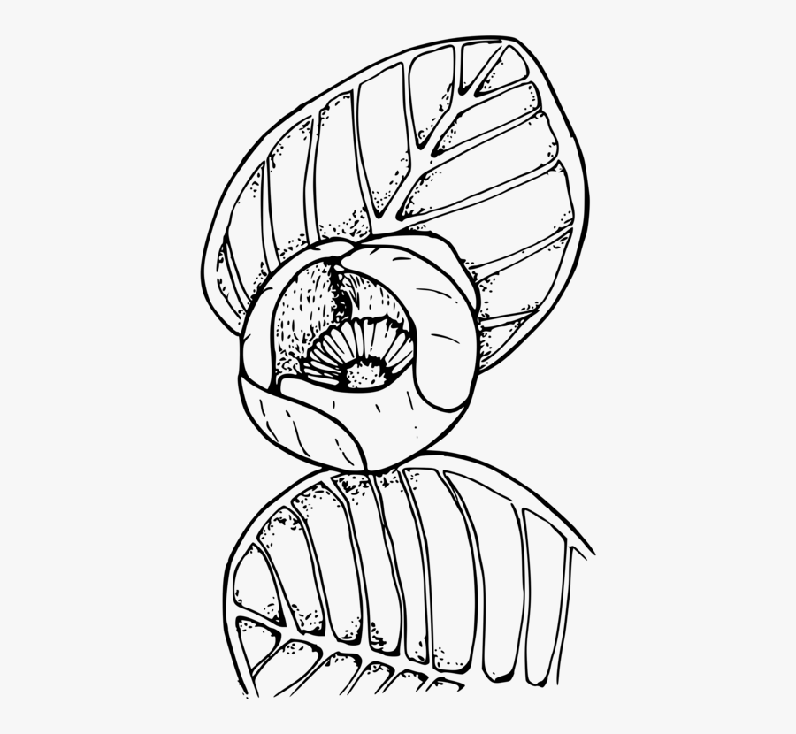 Art,monochrome,arm - Cartoon, Transparent Clipart