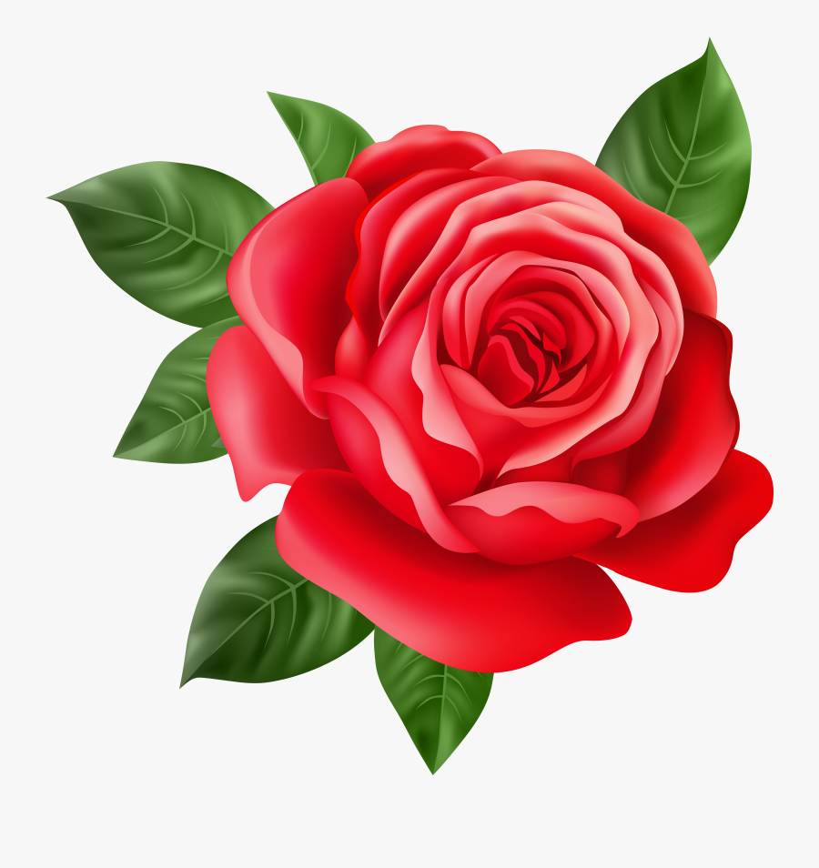 Red Rose Transparent Png Clip Art, Transparent Clipart