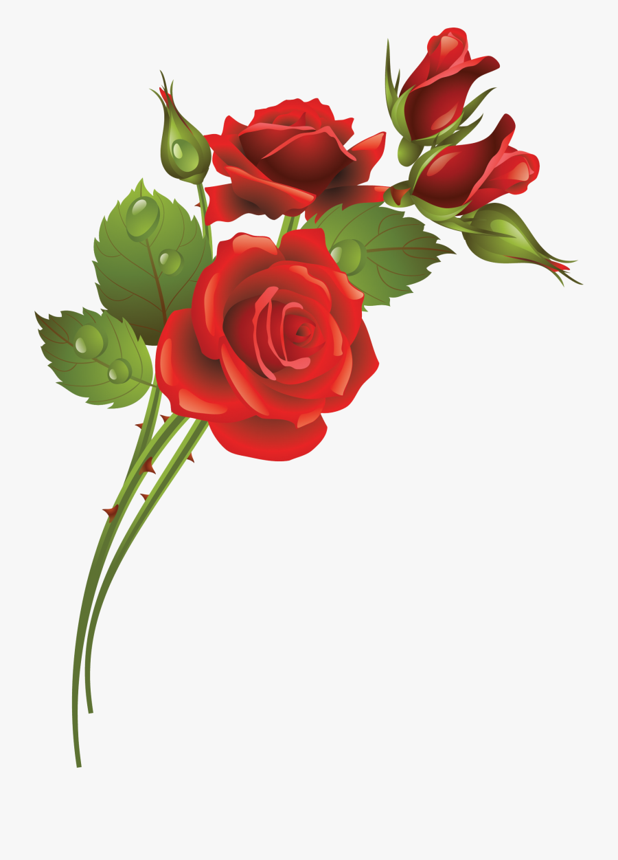 Garden Roses Flower Clip Art - Rose Frame, Transparent Clipart