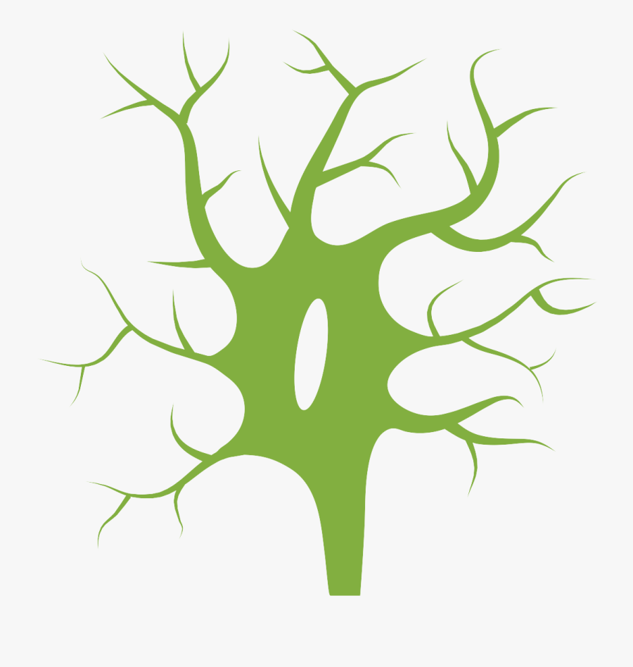 Neuron, Transparent Clipart