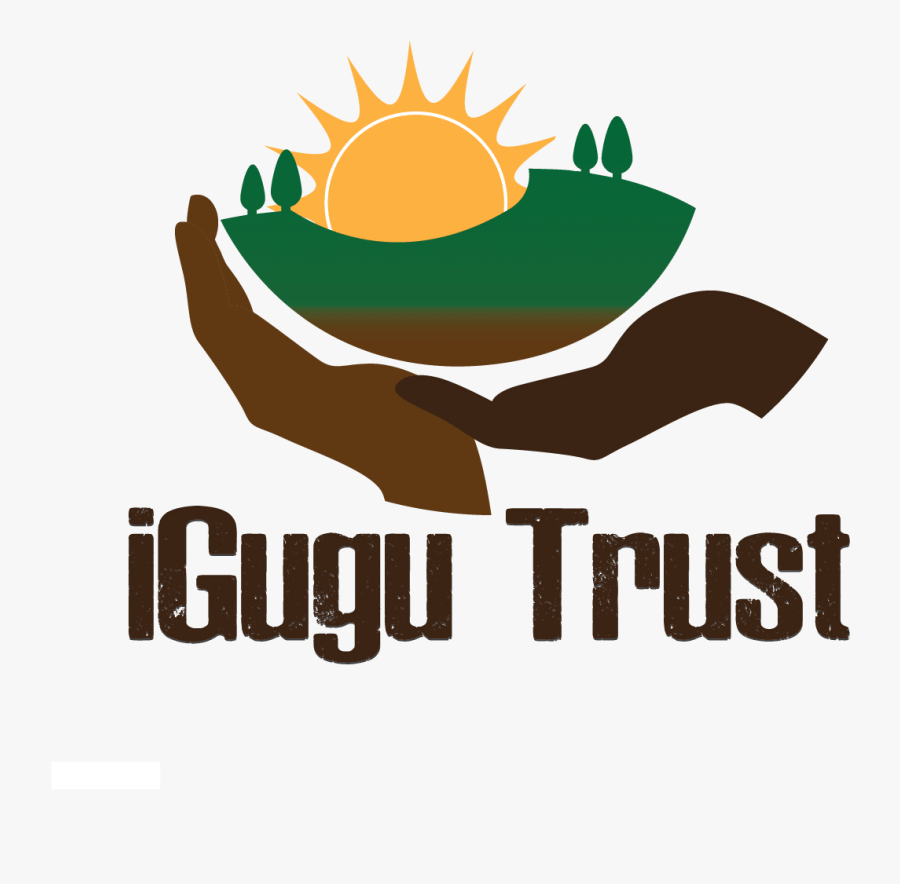 Dish, Transparent Clipart