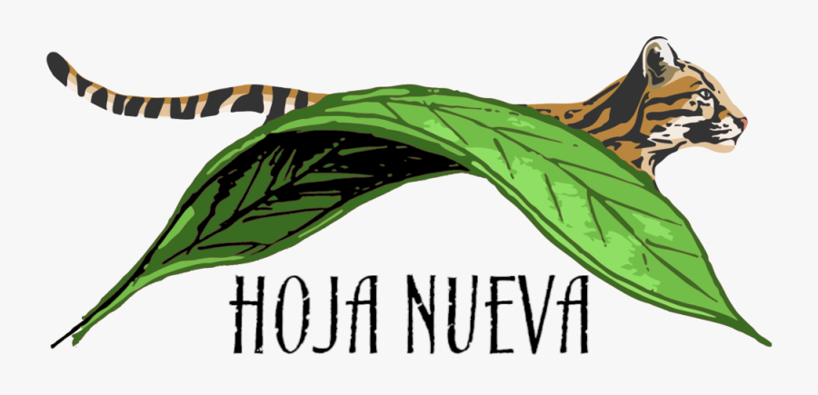 Hace Frio Clipart, Transparent Clipart