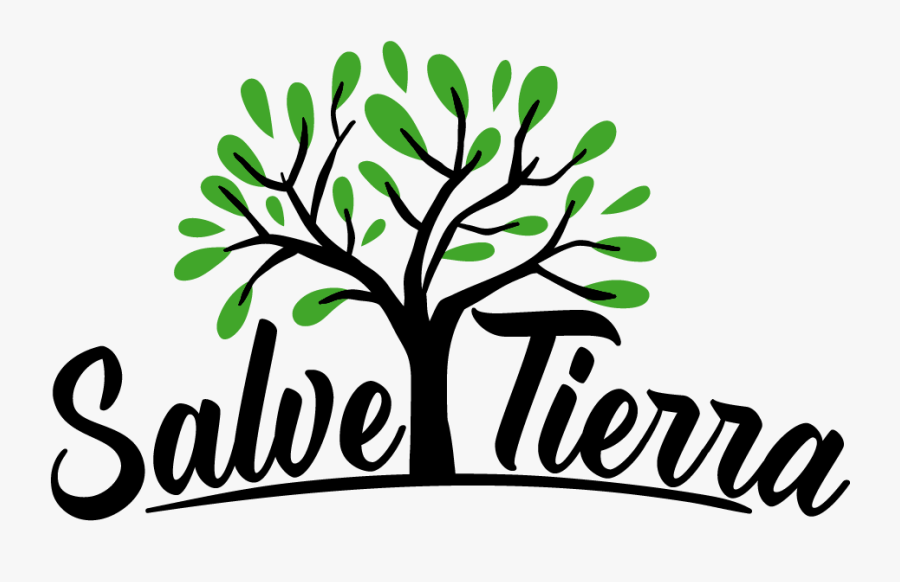 Challenge The Tree, Transparent Clipart