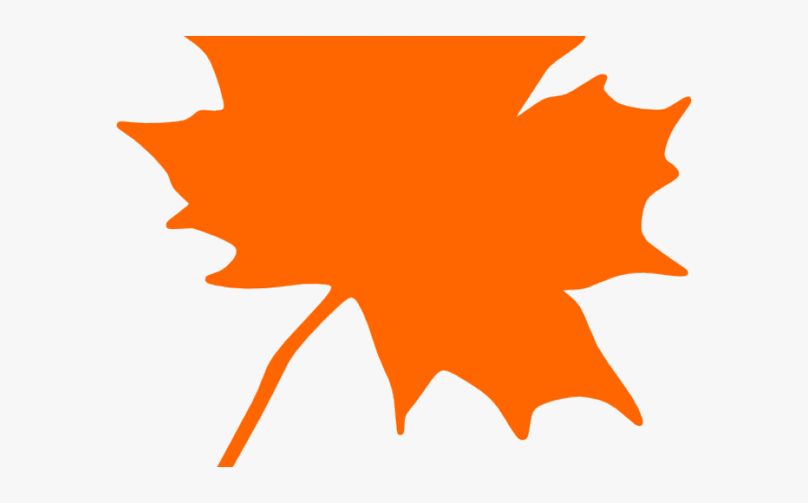 Transparent Denver Bronco Clipart - Maple Leaf Clipart Orange, Transparent Clipart