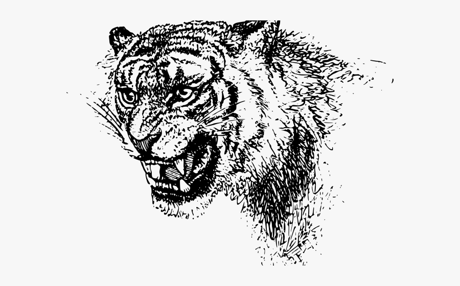 Transparent Tiger Clipart - Black Clip Art Tiger Free, Transparent Clipart