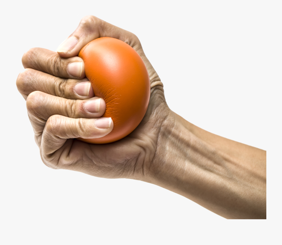 The Body Ecology Diet With The Be101 Home Study Course - Ball Squeeze For Tennis Elbow, Transparent Clipart