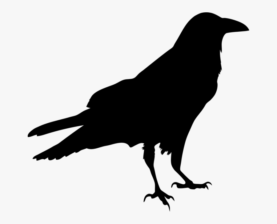 Blackbird Silhouette Clip Art - Black Bird, Transparent Clipart