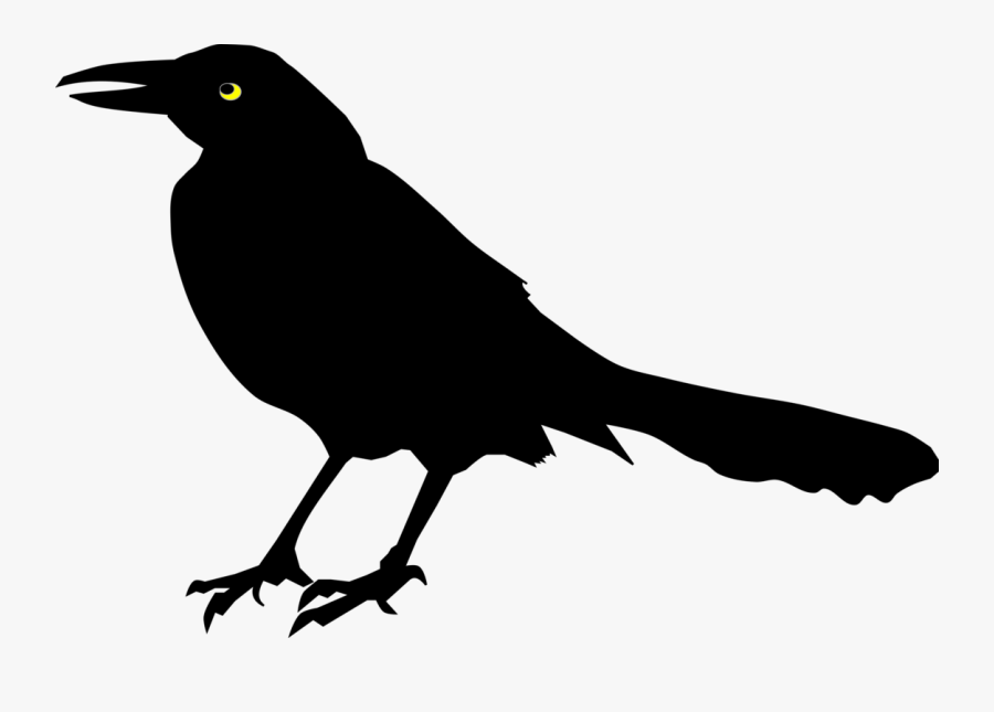 Perching Bird,rook,new Caledonian Crow - Blackbird In Tree Clip Art, Transparent Clipart