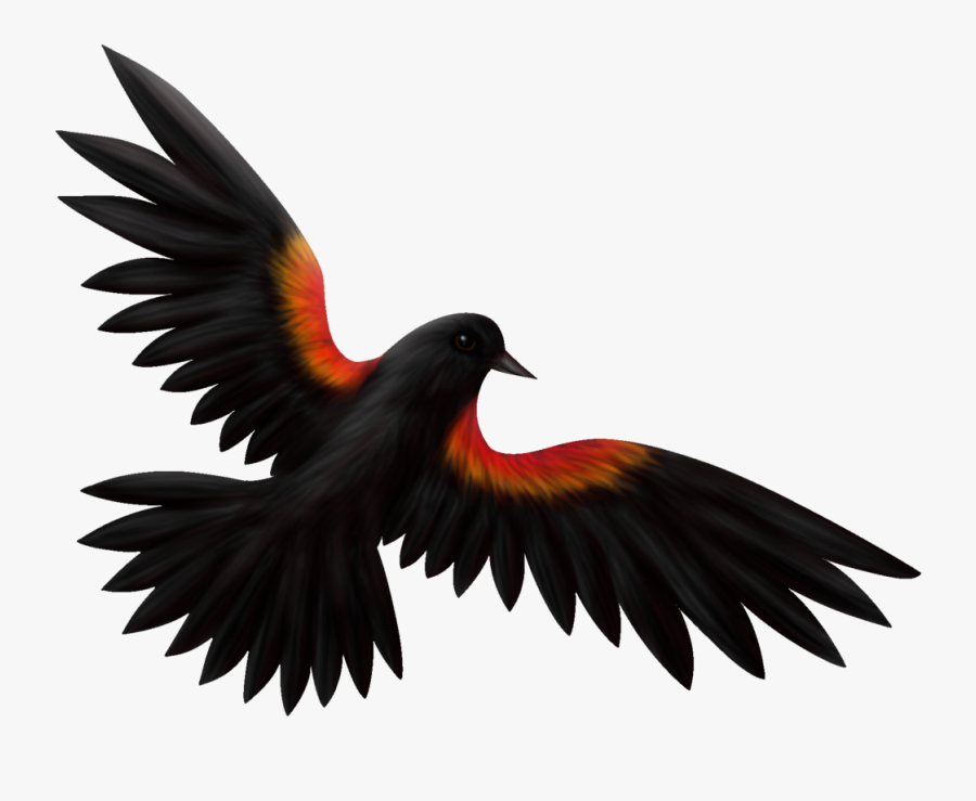 Transparent Blackbird Clipart - Red Winged Blackbird Clipart, Transparent Clipart