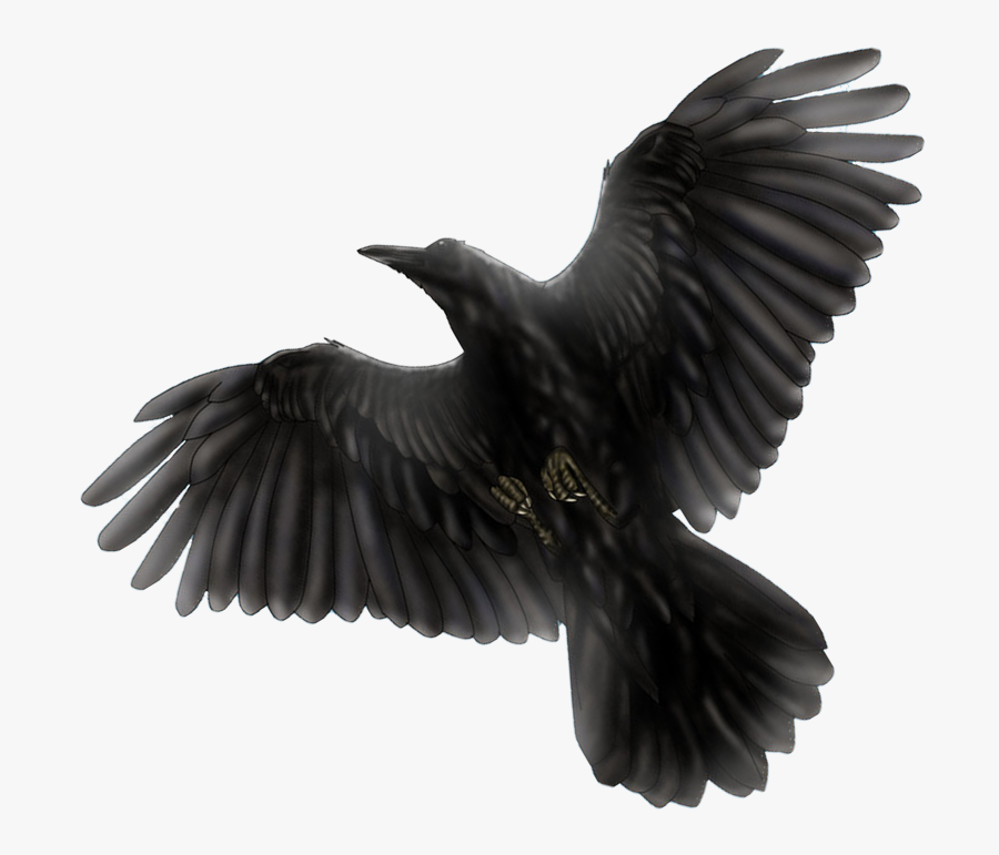 Blackbird Png Photo - Harry Potter House Black, Transparent Clipart