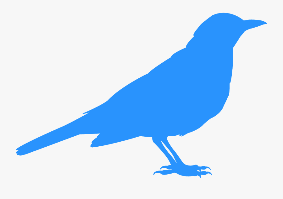 Silueta De Un Zorzal, Transparent Clipart