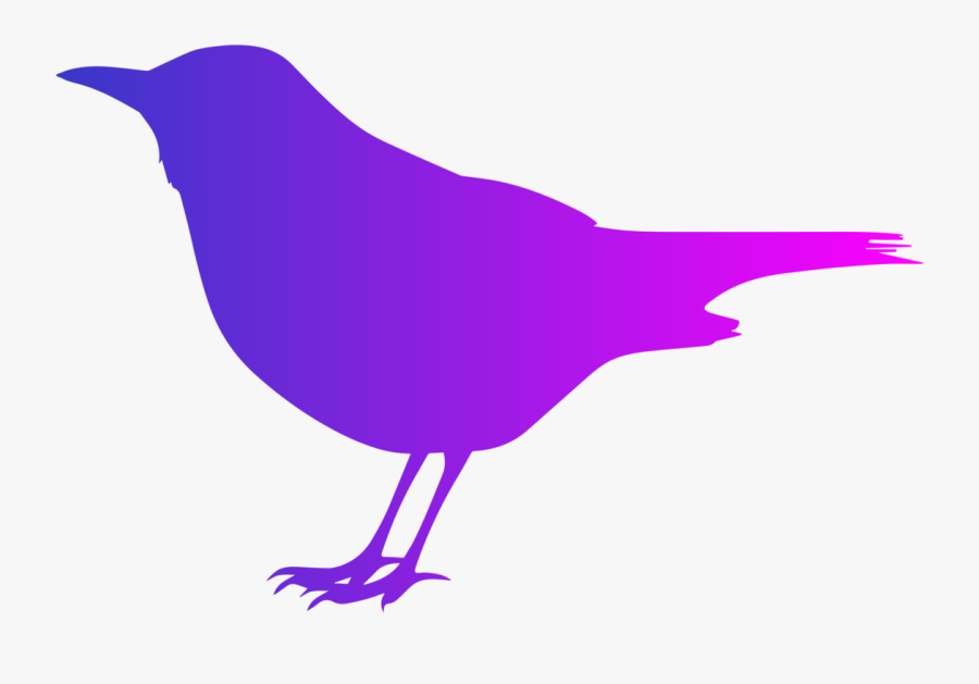 Silhouette,purple,beak, Transparent Clipart
