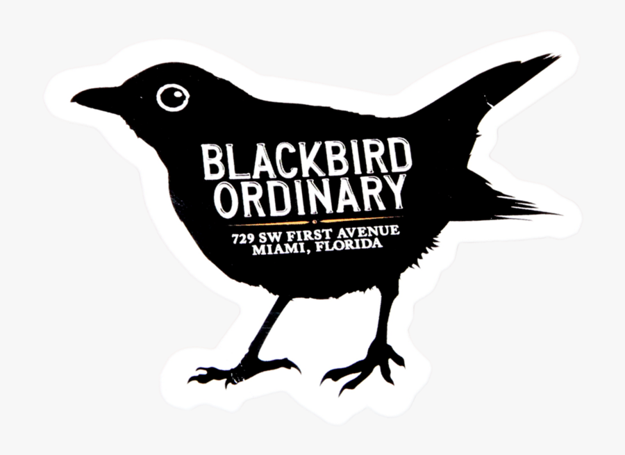 Robin, Transparent Clipart