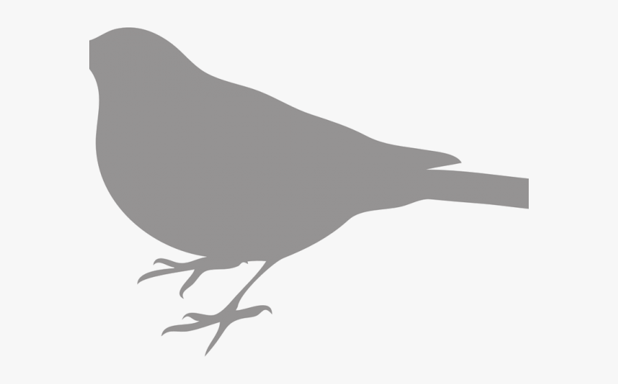 Blue Bird Silhouette, Transparent Clipart