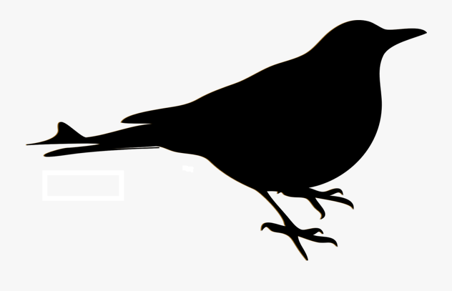 Bird, Blackbird, Sillhouette, Crow, Raven, Robin - Desenhos De Passaros Preto, Transparent Clipart