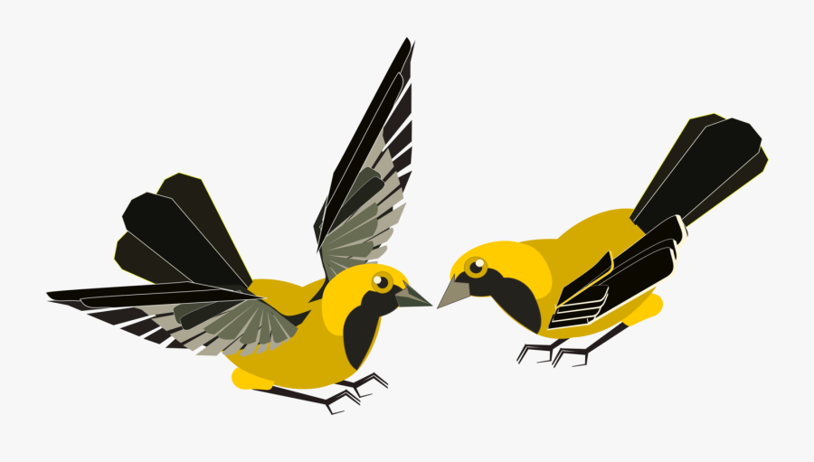 Transparent Kissing Birds Clipart - Clipart Kostenlos Vögel, Transparent Clipart
