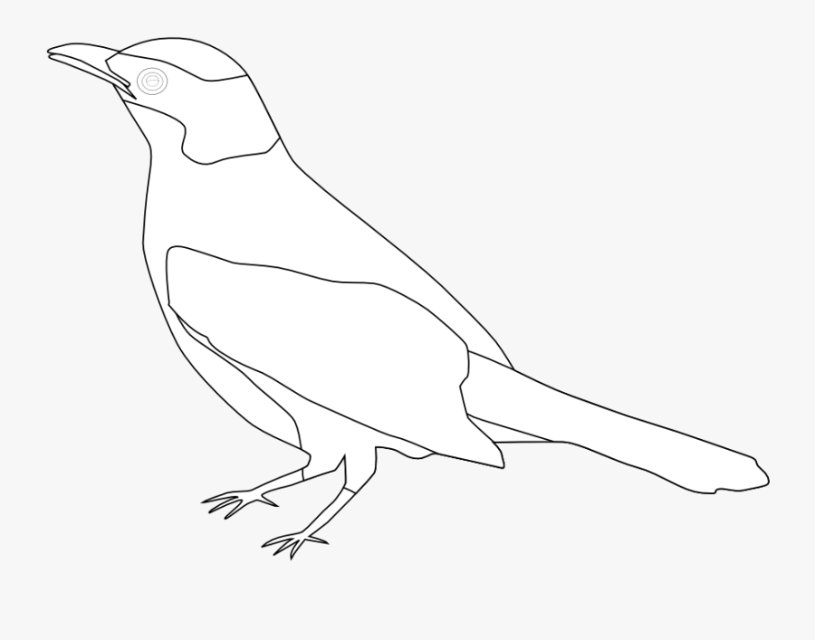 Perching Bird, Transparent Clipart