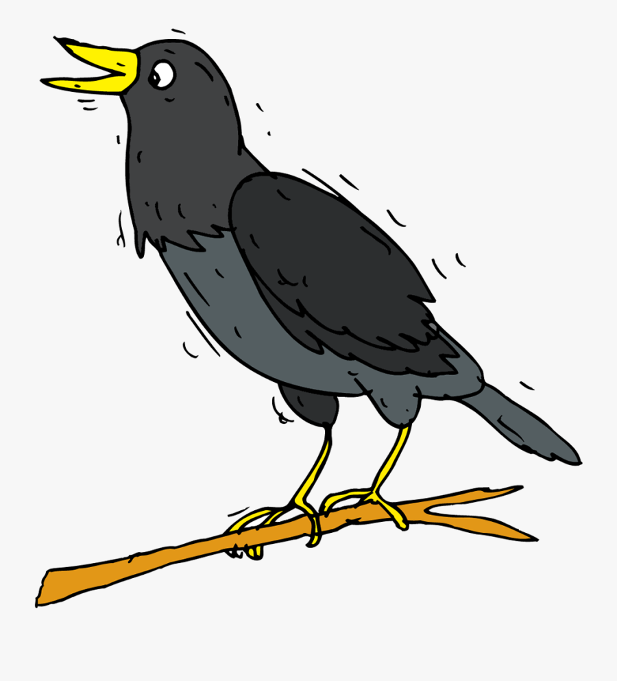 Blackbird - Illustration - Blackbird Illustration, Transparent Clipart