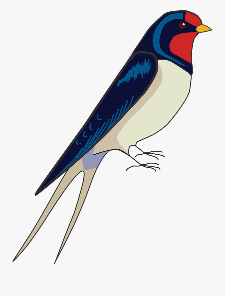 Transparent Blackbird Clipart - Draw A Swallow Step By Step, Transparent Clipart