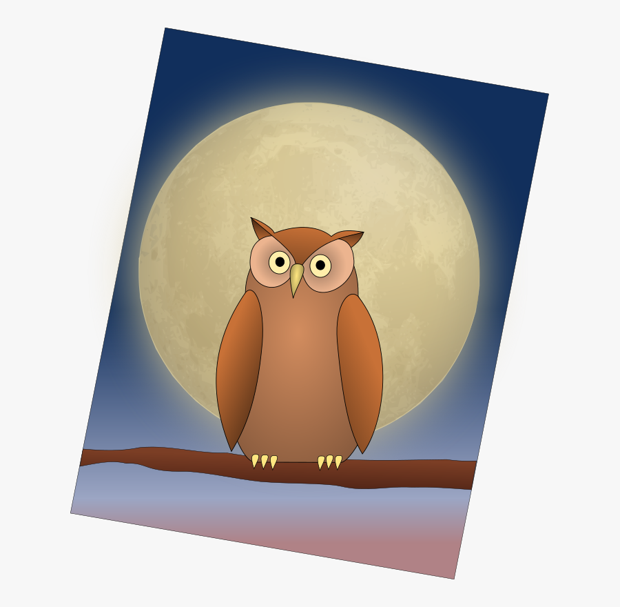 The Owl And The Moon - Illustration, Transparent Clipart
