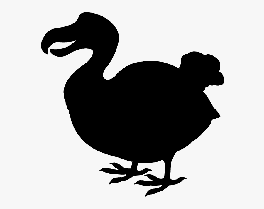 Duck, Transparent Clipart