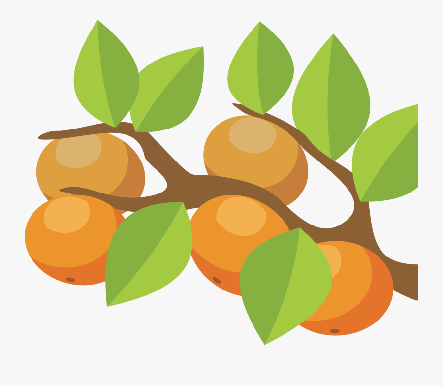Orange Tree Png - Orange Trees Clipart Transparent, Transparent Clipart