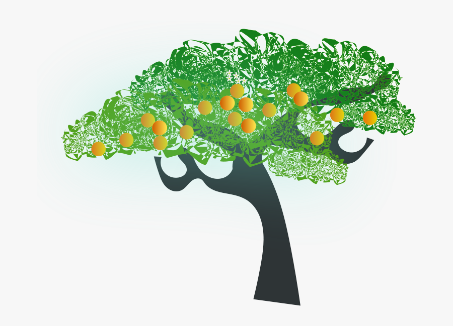 Orange Tree - Orange Tree Clipart Transparent, Transparent Clipart